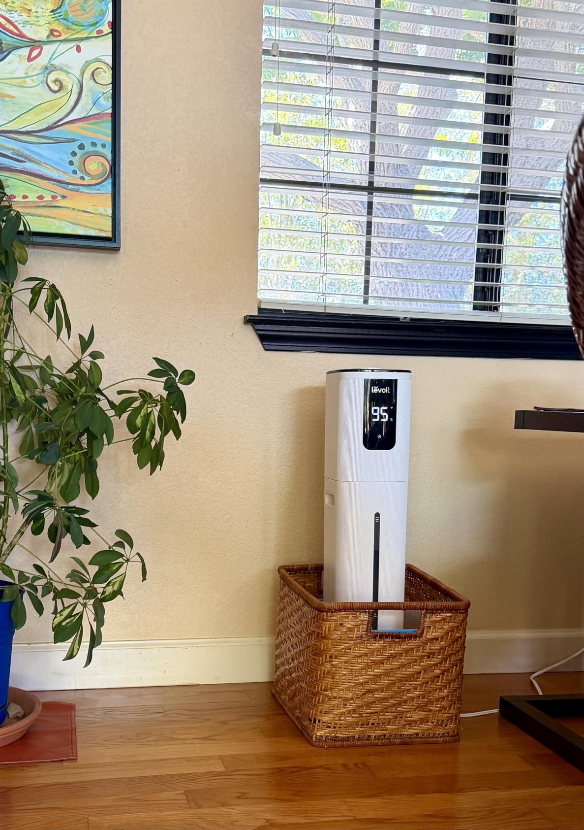 Levoit LV600S Smart Warm & Cool Mist Humidifiers for Home Bedroom Large Room | 6L 753ft² Coverage, Quickly & Evenly Humidify Whole House, Easy Top Fill, Smart Sensor, App & Voice Control, Quiet Sleep Mode customer photo 1