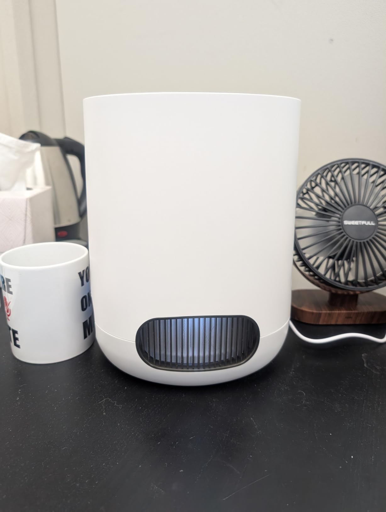 Clorox Small Room Air Purifiers for Bedroom Home, True HEPA Filter | 200 Sq Ft | Reduces 99.9% of Mold, Viruses, Wildfire Smoke, Allergens, Pet Allergies, Dust | Auto Mode | Whisper Quiet customer photo 2