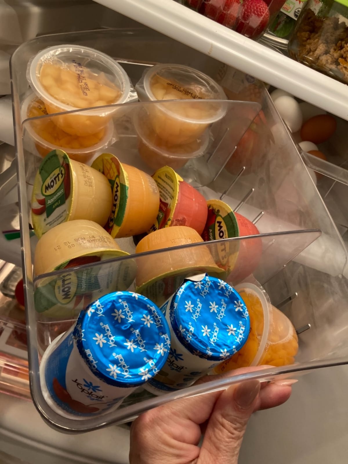 YouCopia FreezeUp Freezer Bin 12