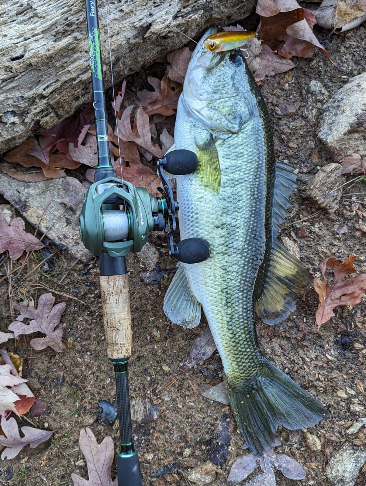 KastKing Spartacus II Baitcasting Fishing Reels with 7.2:1 Gear Ratio customer photo 1