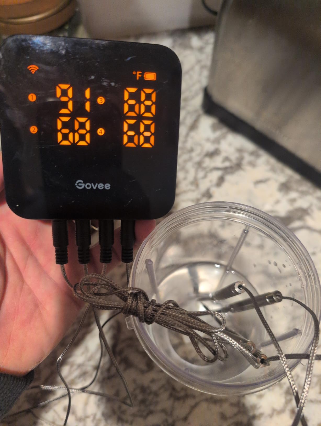 Govee WiFi Meat Thermometer Digital with 4 Probe, App Notification Alert customer photo 2