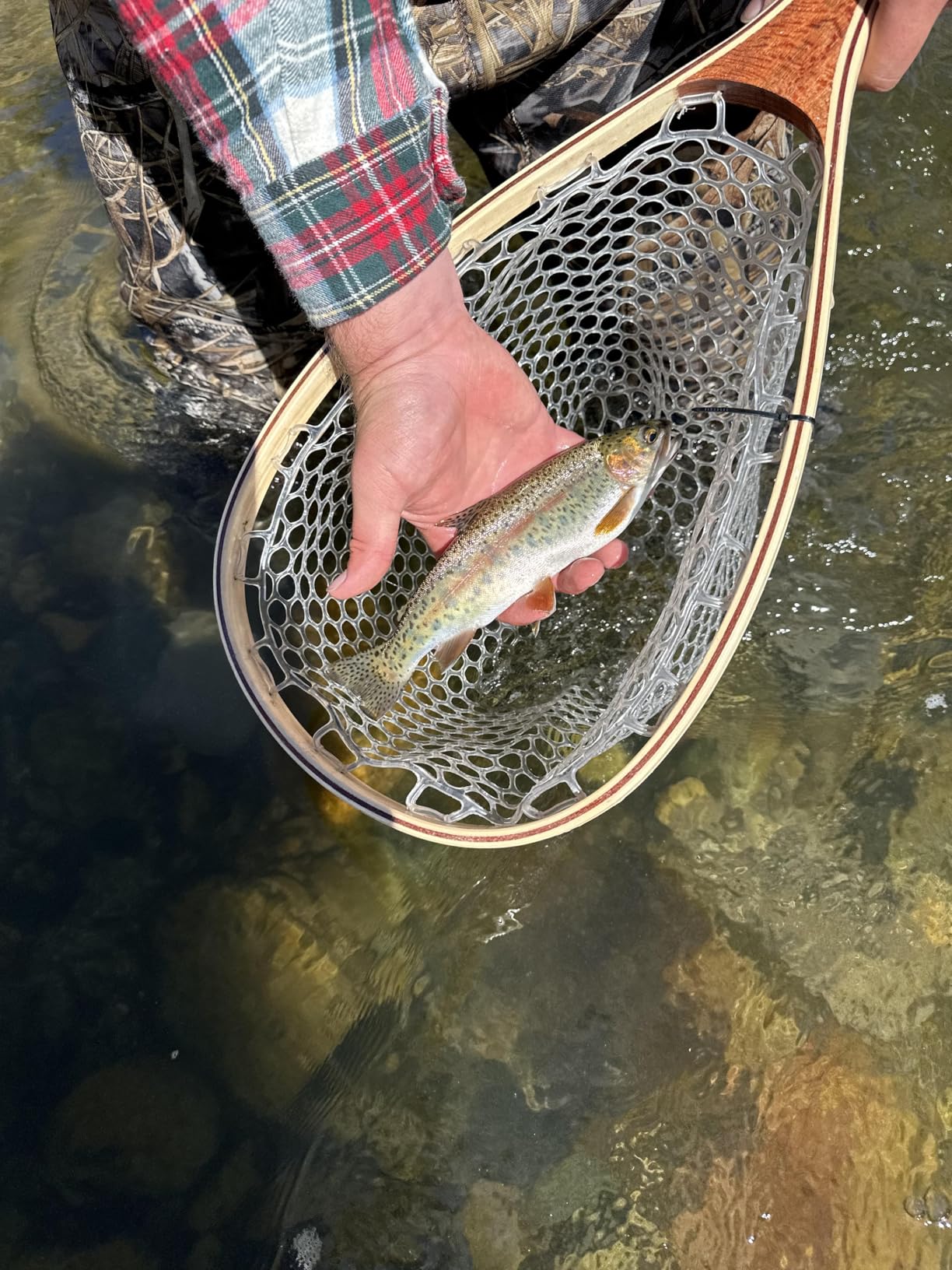 SF Fly Fishing Landing Net Soft Rubber Mesh Trout Net Catch and Release Net customer photo 1