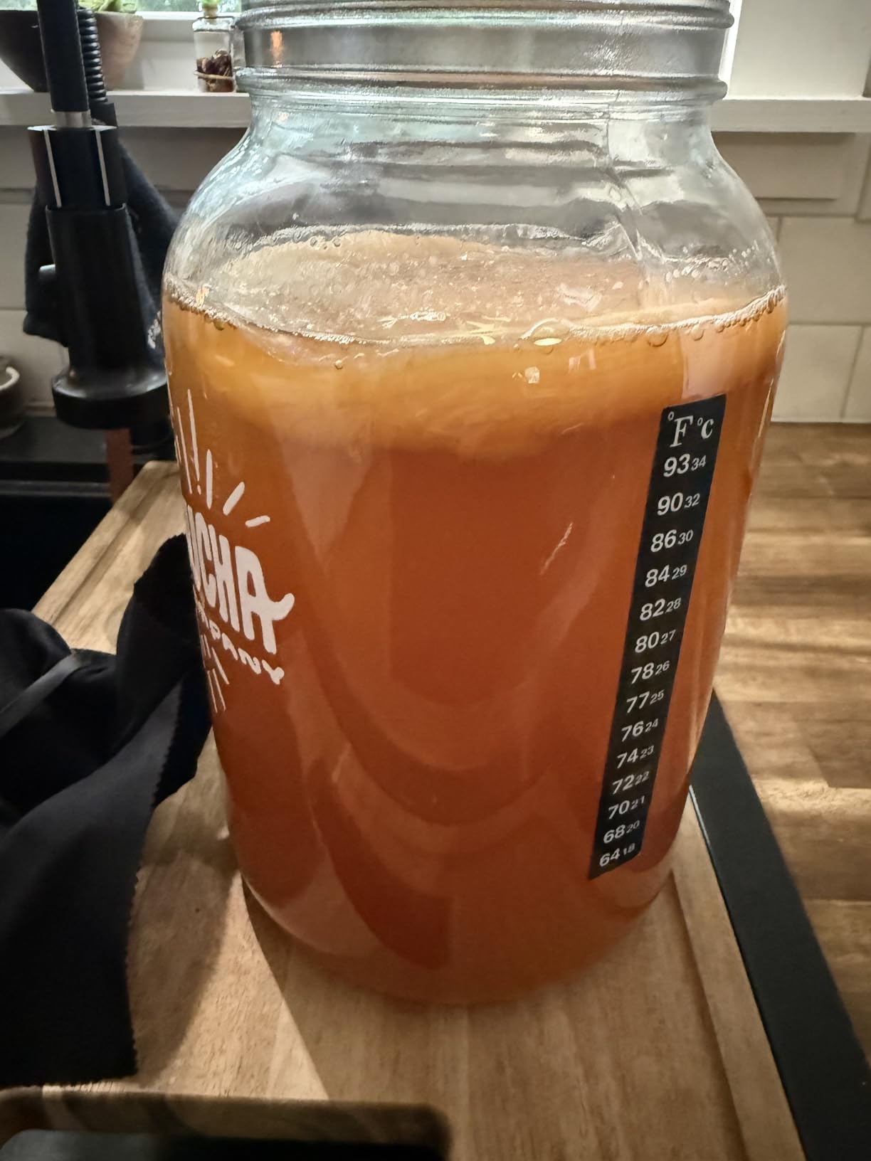 Kombucha Home Brewing Starter Kit | 5-Inch Large Scoby | Complete Kit with 16 oz Starter Tea, Brewing Jar & Supplies | Brew Unlimited Kombucha customer photo 2