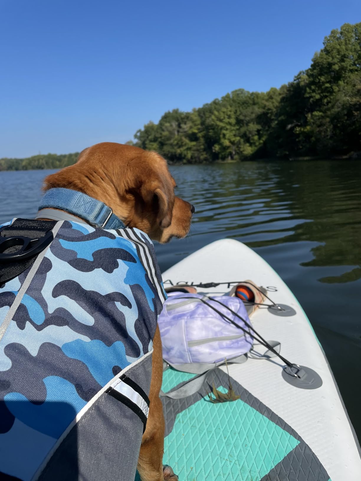 Aqua Plus 6inches Thick Inflatable SUP for All Skill Levels Stand Up Paddle Board,Paddle,Pump,ISUP Travel Backpack, Leash,Shoulder Strap,Youth,Adult Inflatable Paddle Board customer photo 1