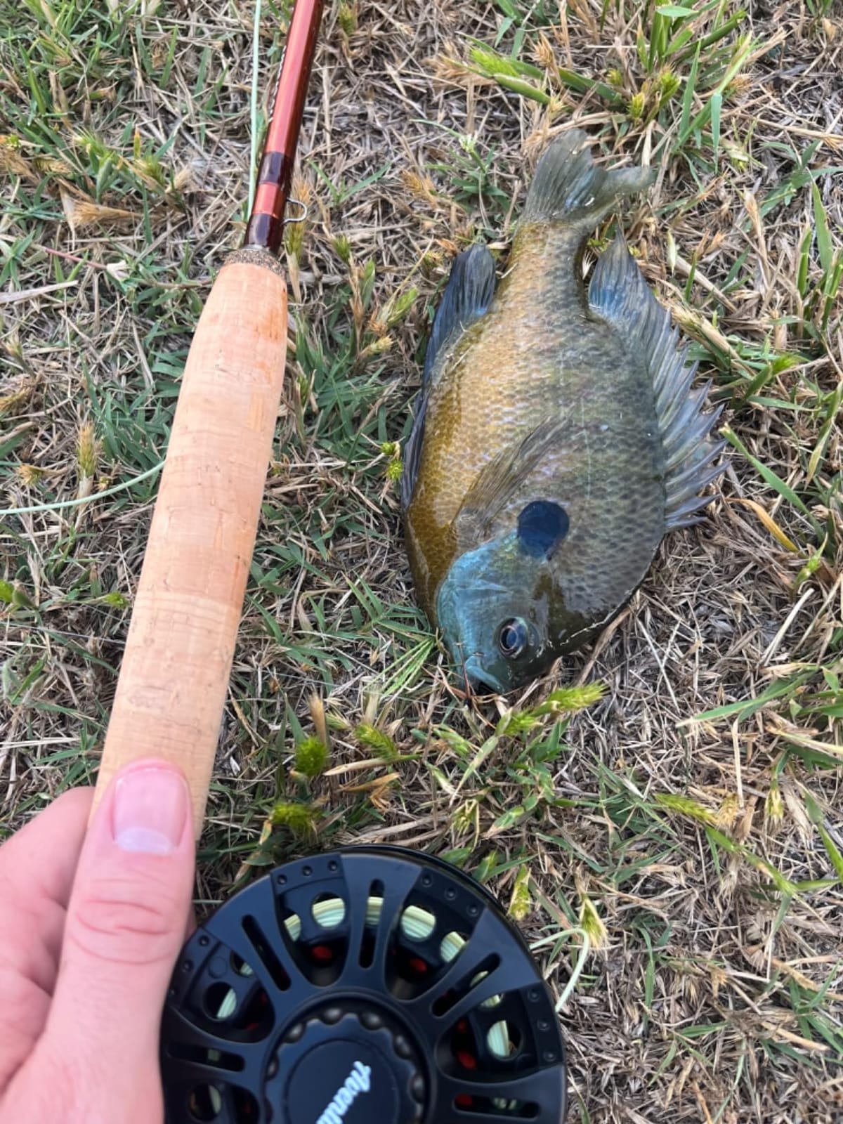 Aventik Extreme Fly Fishing Combo Kit 0/1/2/3/4/5/6 Weight Starter Fly Fishing Rod and Reel Kit Outfit with One Travel Case customer photo 1