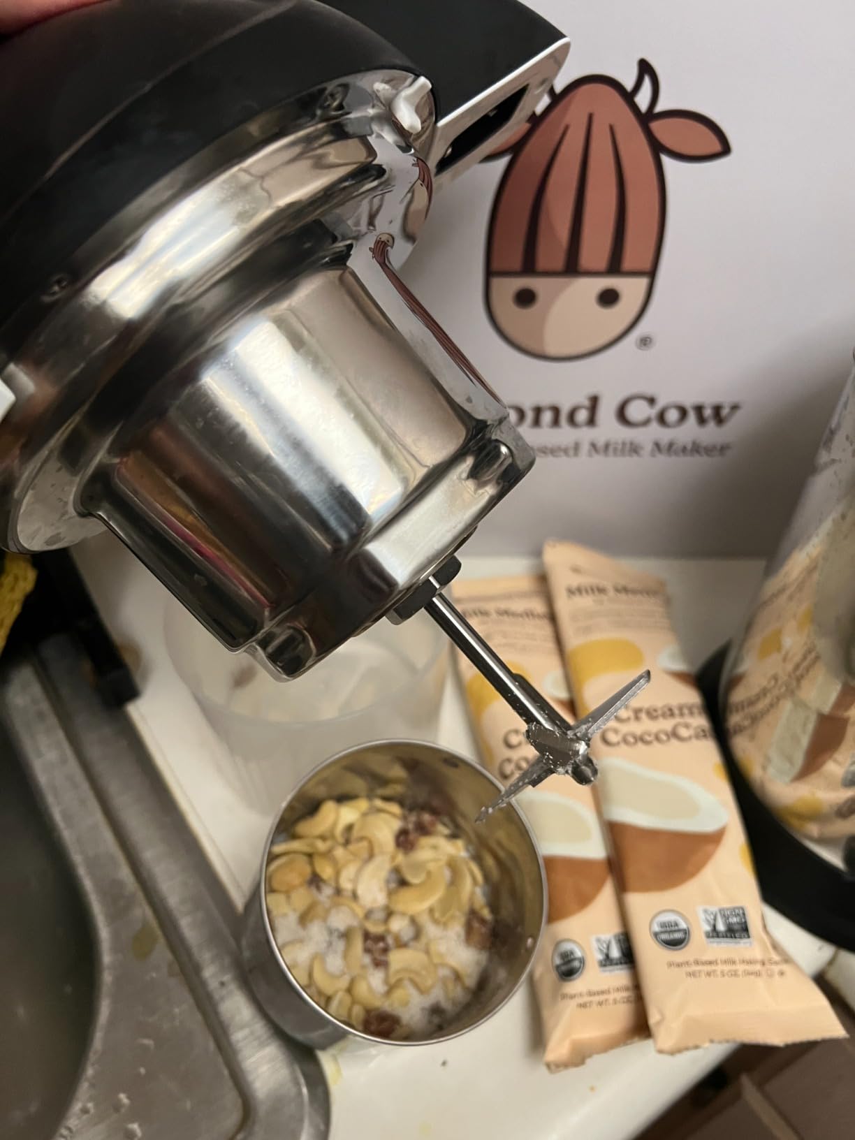 Almond Cow Nut Milk Maker Machine, Plant-Based Milk Maker for Almond, Oat, Cashew, Soy Milk, Stainless Steel, No Straining Needed - Makes 5-6 Cups, 120V customer photo 1