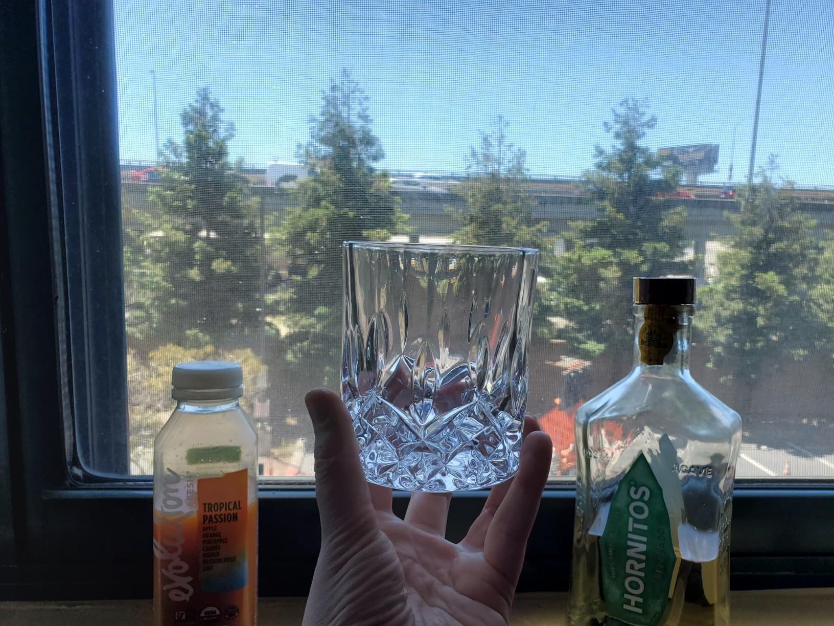 LEMONSODA Crystal Cut Old Fashioned Glass Sets - 10oz/12oz Ultra-Clear Premium Lead-Free Rocks Glass Tumbler For Drinking Bourbon, Scotch, Cognac, Cocktails (10oz, Set of 6) customer photo 1