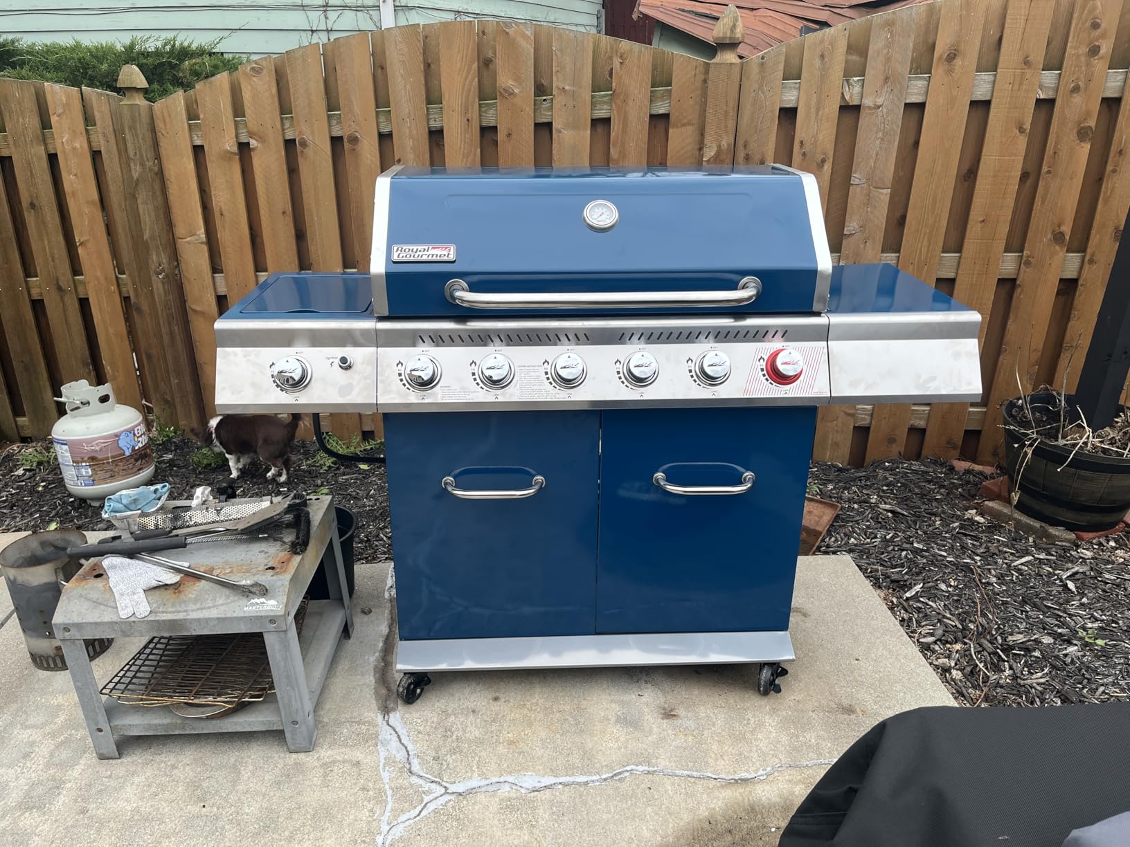 Royal Gourmet GA6402B 6-Burner Propane Gas Grill with Side Burner, Blue | Totaling 74,000 BTU of Cooking Power | Cabinet Style Outdoor BBQ Grill | Perfect for Barbecue Grilling & Backyard Cooking customer photo 2