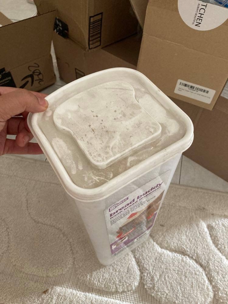 Buddeez Bread Buddy Bread Box, Keeps 1 Sandwich Size Loaf Fresh customer photo 2