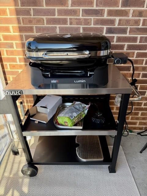 Weber Lumin Portable Grill, Outdoor Electric Grill, BBQ Grill, Ice Blue | High-Heat Outdoor Electric BBQ Reaching 600F for Searing, Smoking, Steaming & Warming - Ideal for Small Spaces & Travel customer photo 1