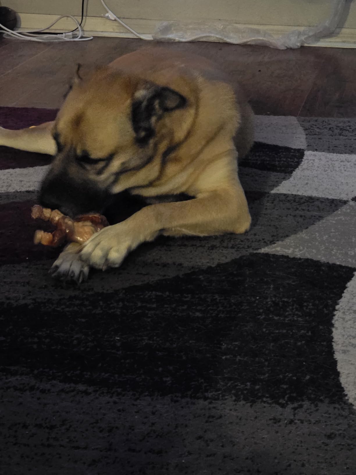PETSTA Indestructible Dog Toys for Aggressive Chewers, Extreme Tough Toys for Large Dogs, Real Beef Flavored, Dog Bone for Medium/Large Dogs Breed, Gifts for Dogs customer photo 2