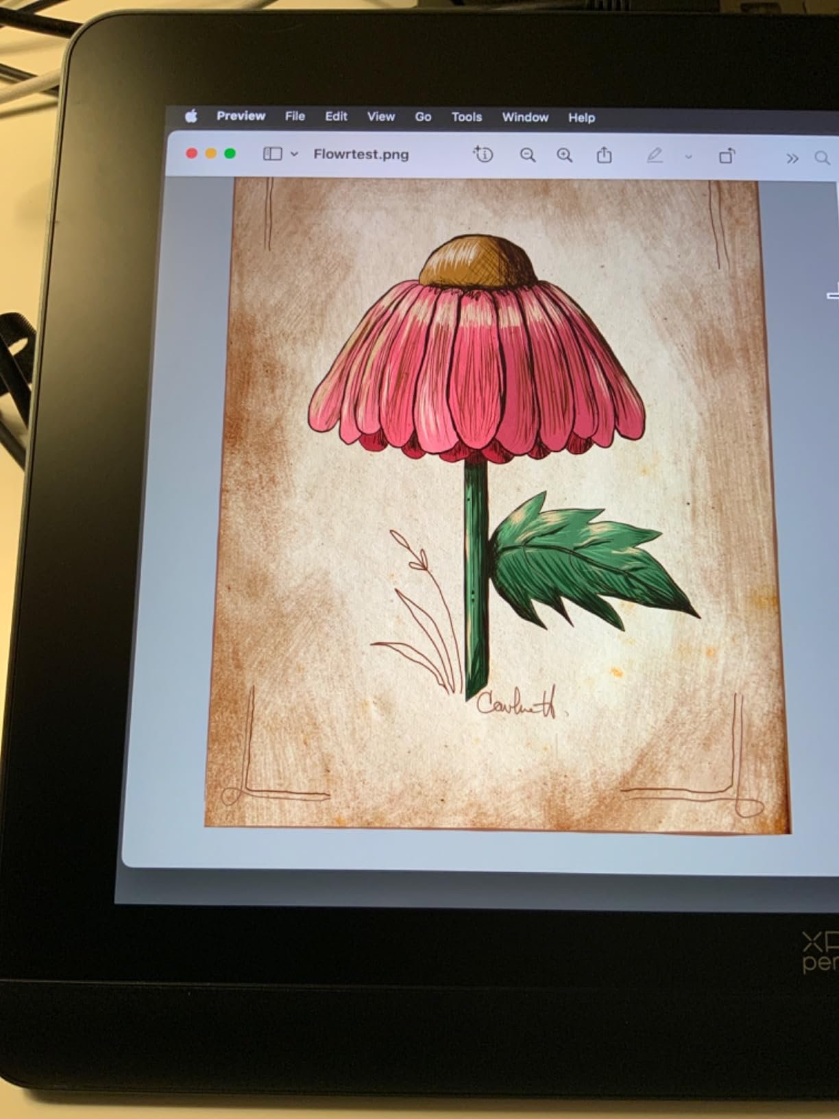 XPPen Artist Pro 14 Gen2 Drawing Tablet with Screen 14 inch Graphic Art Tablet with Full Laminated Anti-Glare Screen 16384 Pressure Levels X3 Pro Battery-Free Stylus 123% sRGB Tilt Stand Mini Keydial customer photo 1