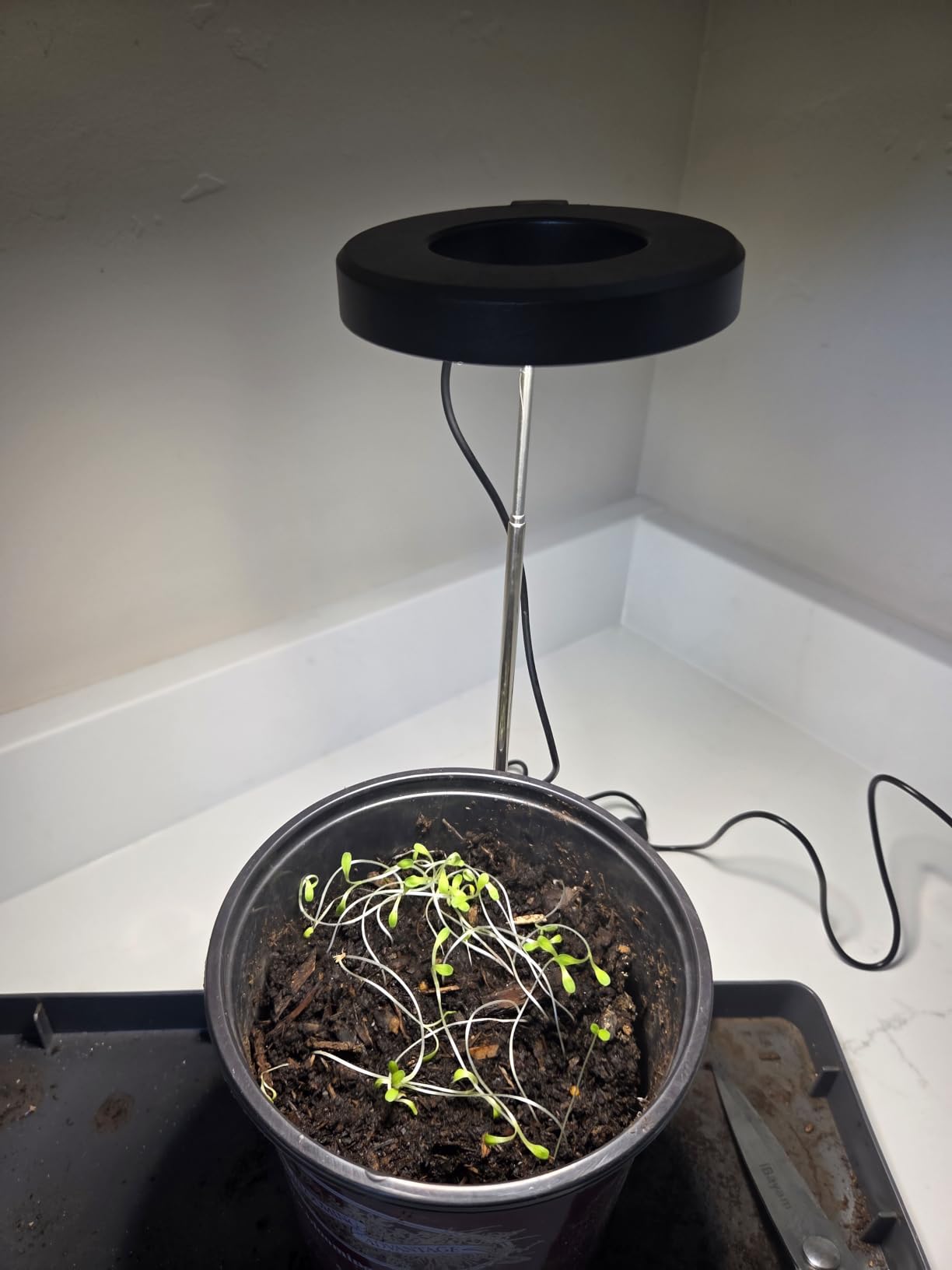 Aokrean Grow Lights for Indoor Plants, Full Spectrum Plant Light with Base customer photo 1