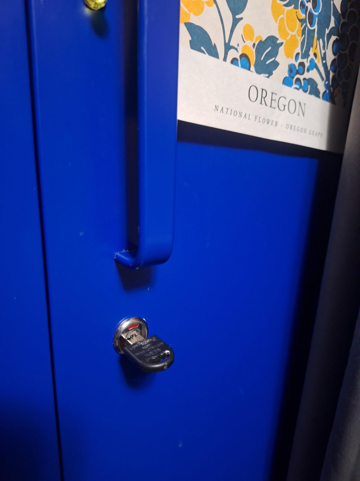 Letaya Metal Garage Storage Cabinets with Lock-72 Tall Tool Organizer Steel Lockers, 5 Adjustable Layers Shelves for Home,Office,Warehouse,Garage,(Black-72“) customer photo 1