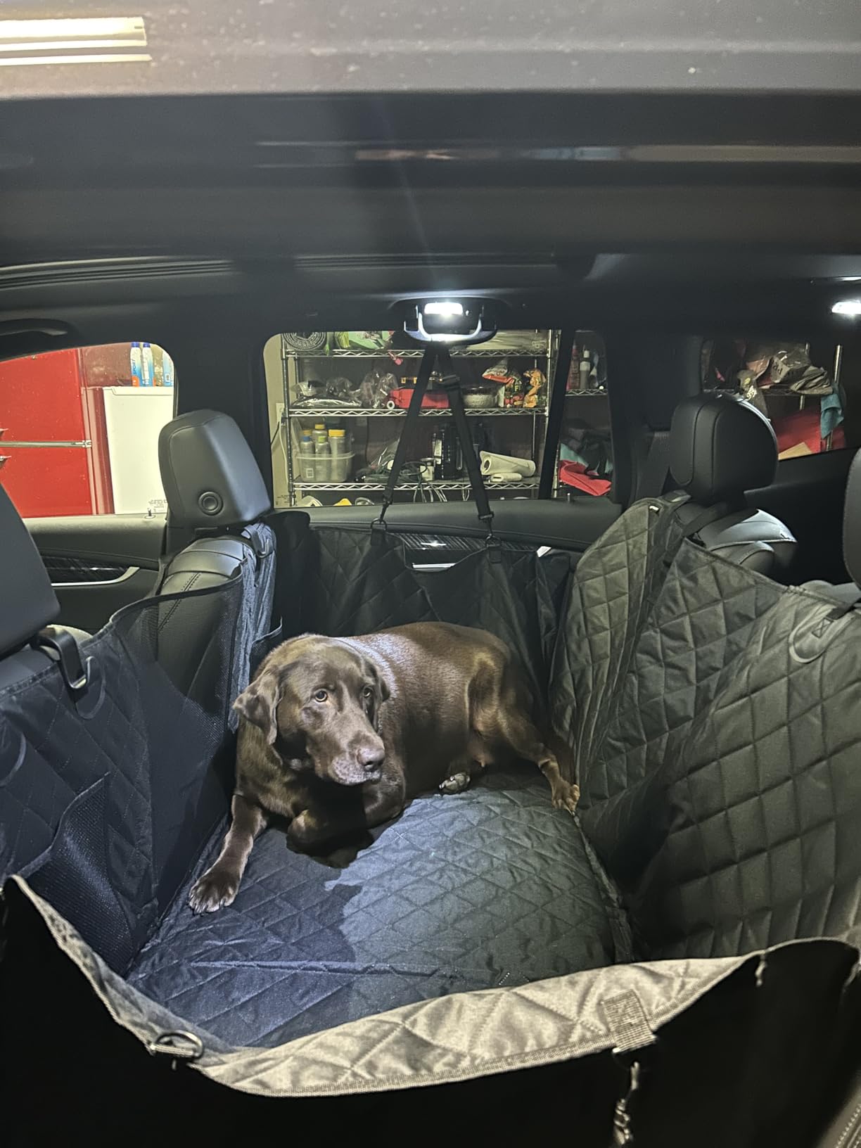URPOWER Back Seat Extender for Dogs, Large Hard Bottom Dog Car Seat Cover customer photo 2