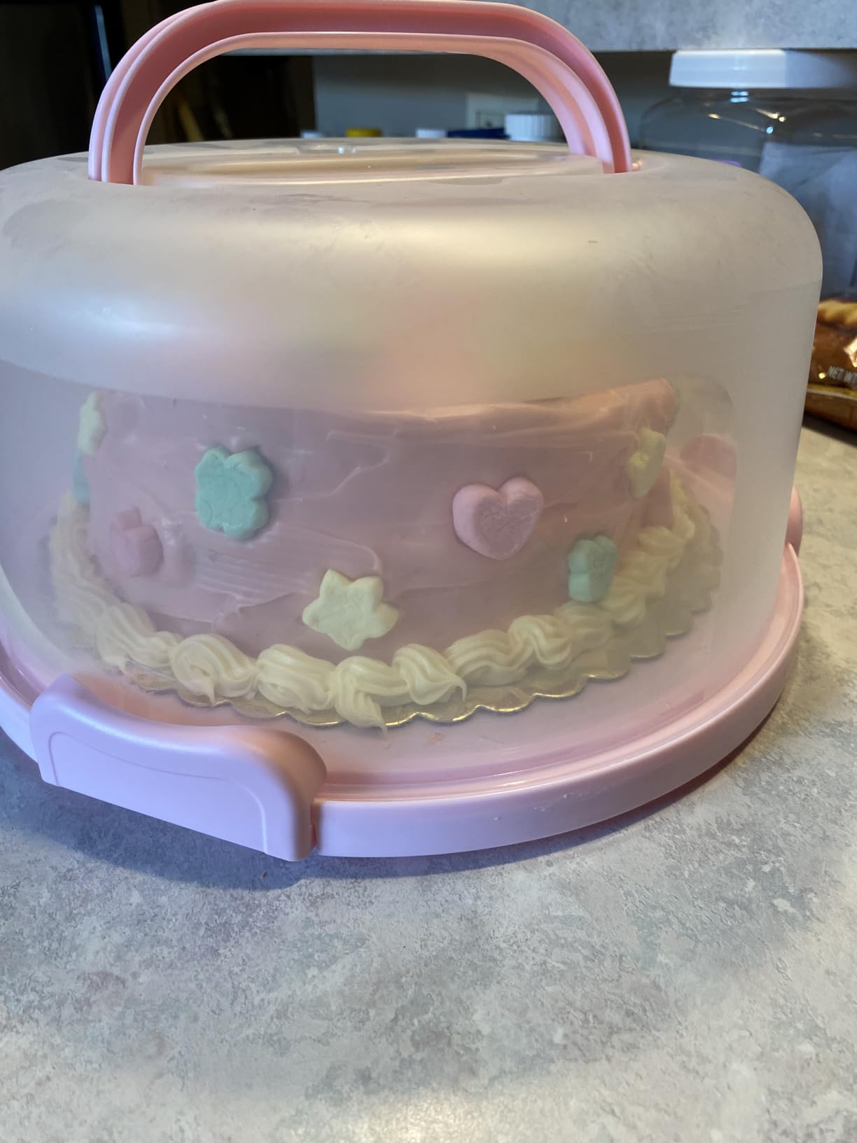 10in Plastic Cake Carrier with Handle, Round Cake Holder with Lid Pink Cake Container for 6in/8in/10in Cake(purple) customer photo 2