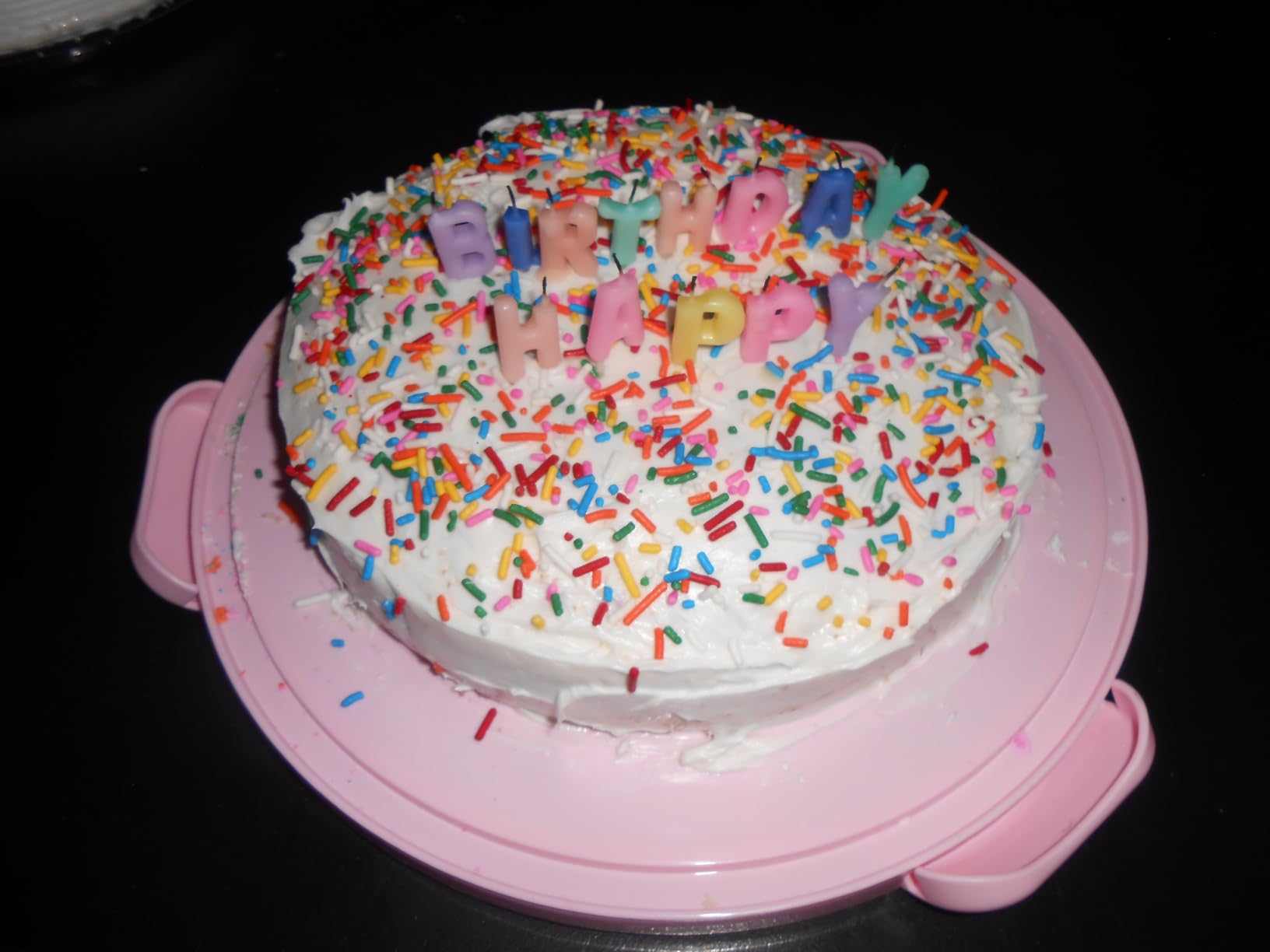 Cake Carrier with Lid and Handle,Fit 10” Cake Stand Cake Holder Container customer photo 2
