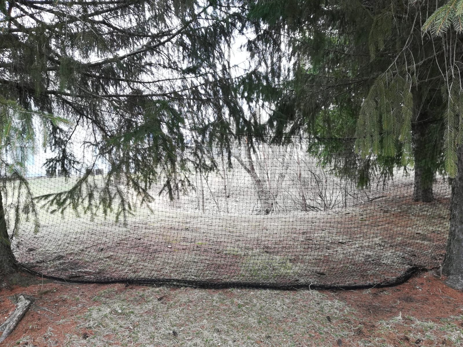 Baseball Softball Backstop Nets, Heavy Duty Sports Netting Barrier #18 Nylon Baseball Netting 10'x20'/10'x30'(Net Only) customer photo 1