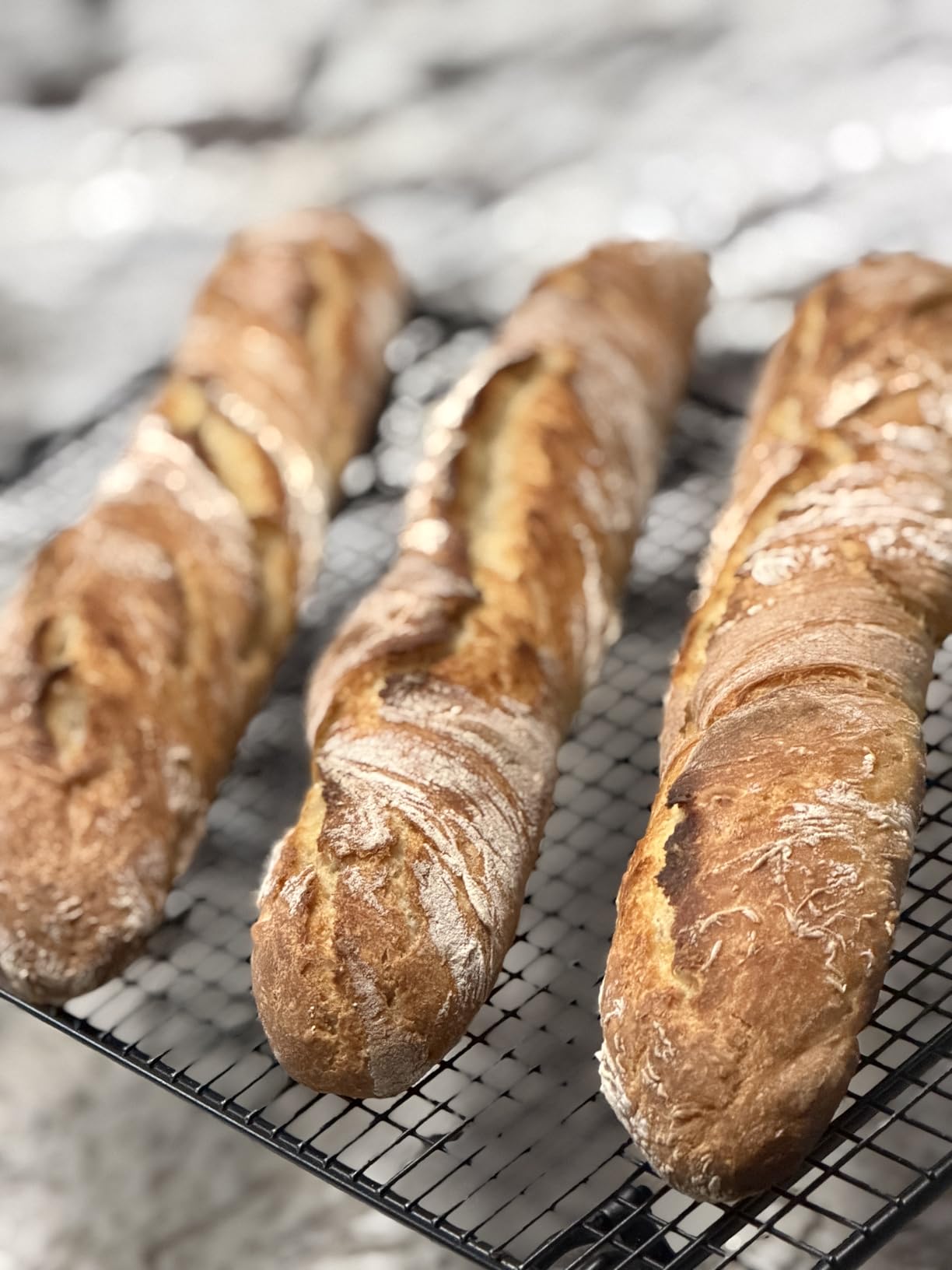 Pavsrmy Baguette Bread Pan, Premium Nonstick Perforated Baguette Pan for French Bread Baking, 4 Loaves Baguette Baking Tray for Sourdough, Italian Bread, Perfect for Creating Crisp Golden-Brown Crust customer photo 1