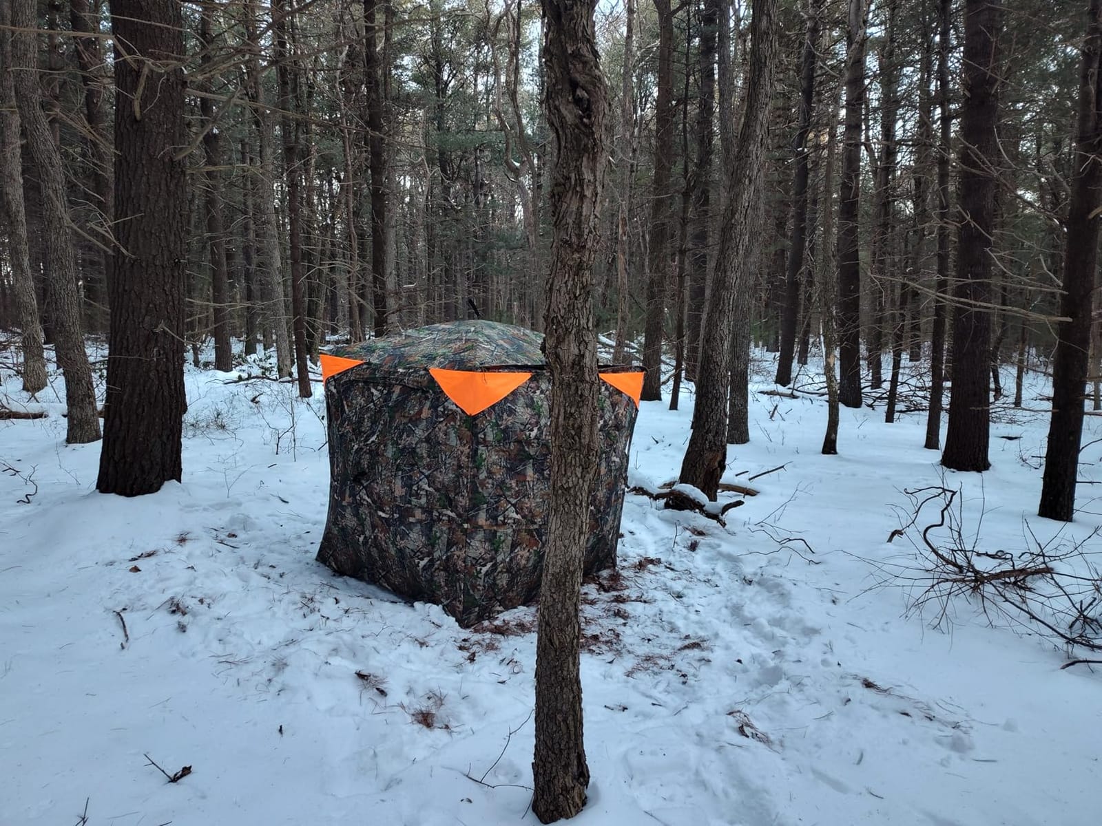 TIDEWE Hunting-Blinds BL008-AMZ customer photo 1