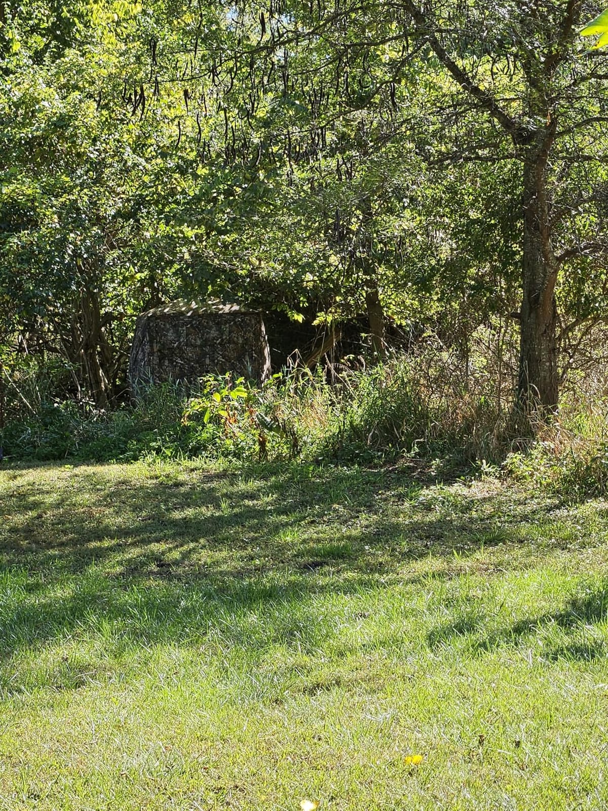 TIDEWE Hunting-Blinds BL008-AMZ customer photo 2