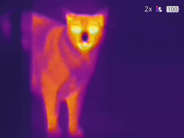TOPDON TS004 Thermal Imaging Monocular, 13mm 50Hz Night Vision customer photo 2