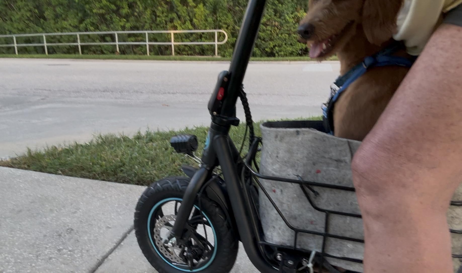 Gyroor Electric Scooter with Seat for Adults 20 Miles Range customer photo 1