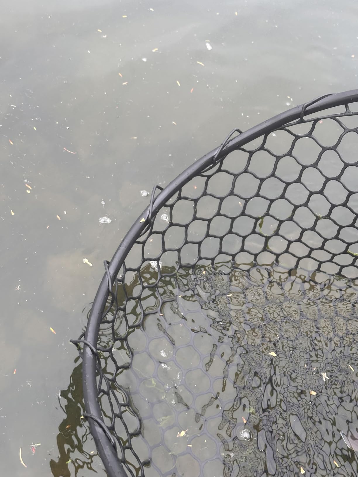 High Strength Large Landing Net, Fishing Net with Long Telescoping Handle customer photo 2
