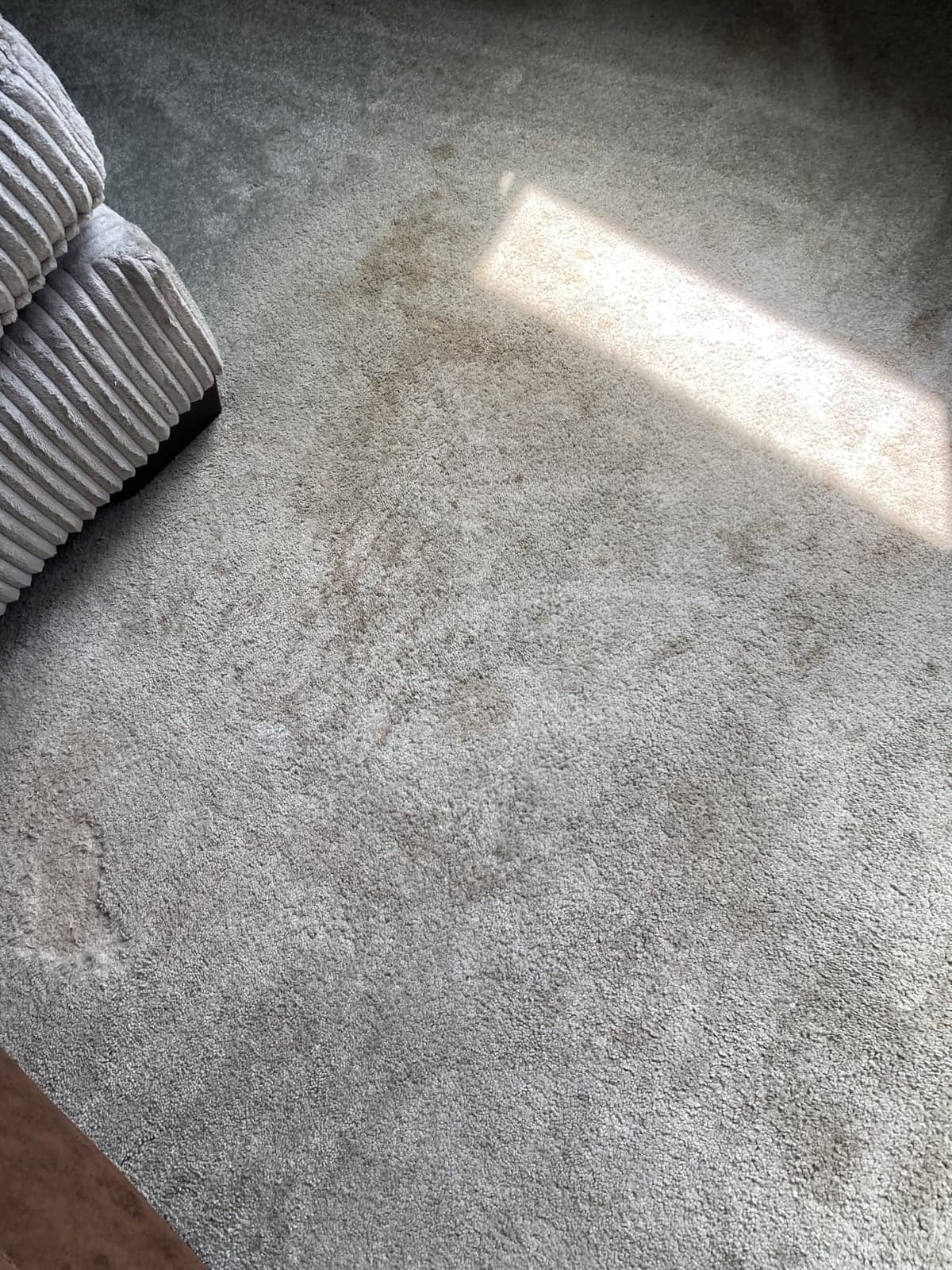 Kenmore Pet Portable Carpet Cleaner Machine with High Cleaning Power customer photo 2