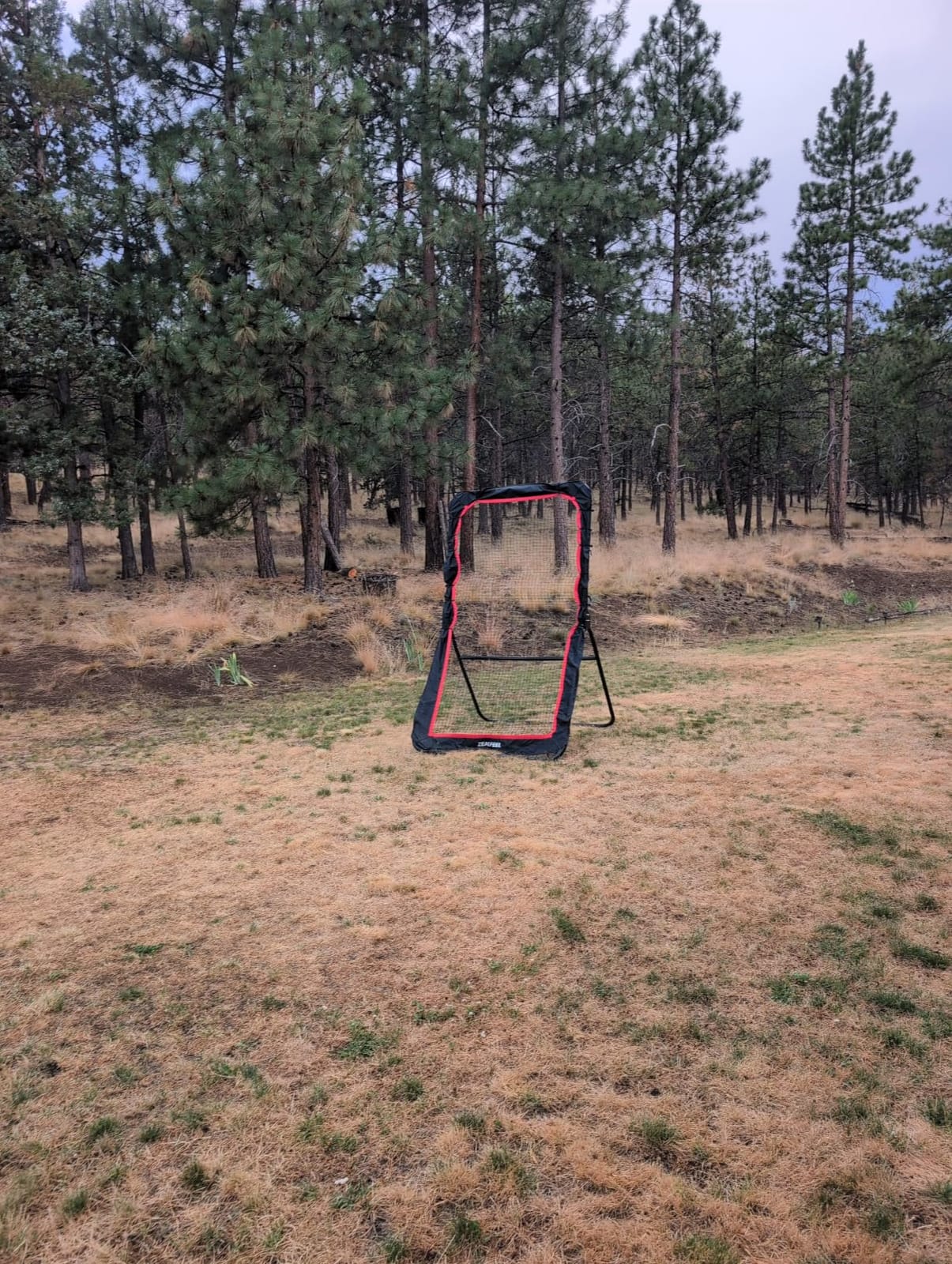 ZEALFEEL Lacrosse Rebounder with 5 Adjustable Angles, 4x6FT/4x7FT customer photo 2
