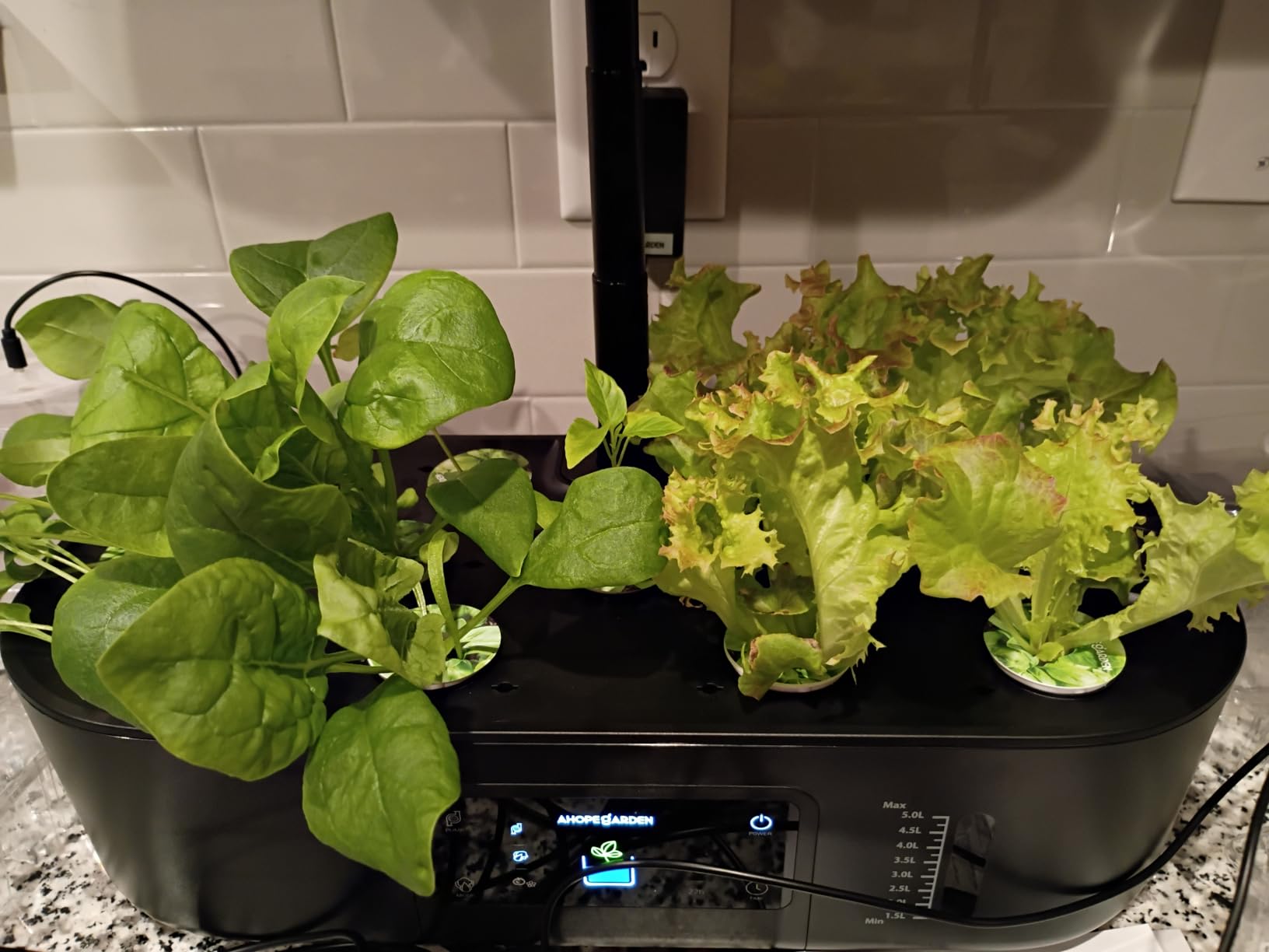 Ahopegarden Hydroponics Growing System Kit: 12 Pods with LCD Control Panel customer photo 2