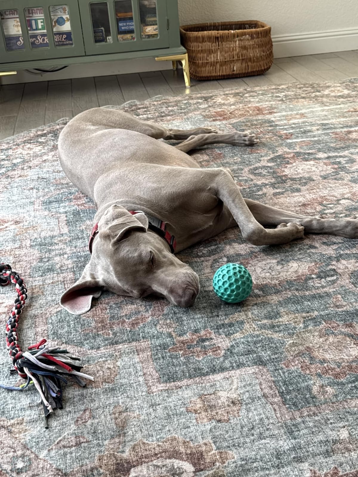 Tough Dog Chew Toys for Aggressive Chewers, Indestructible Dog Balls for Aggressive Chewers, Squeaky Balls for Dogs, Squeaky Toys for Large Dogs, Funny Heavy Duty Ball customer photo 2