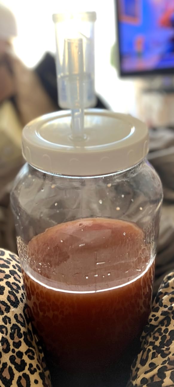 2 Gallon Large Fermentation Jar, Wine Making Kit for Beer Cider Kombucha customer photo 1