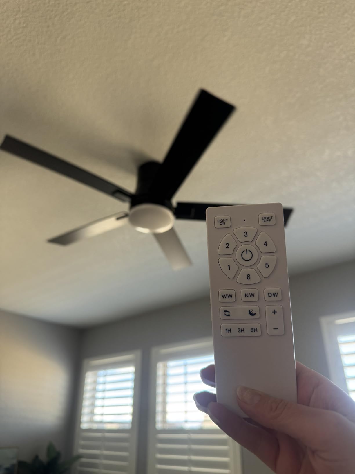 Rayqueen 84 Inch Black Ceiling Fans with Lights and Remote,Includes Downrod customer photo 2