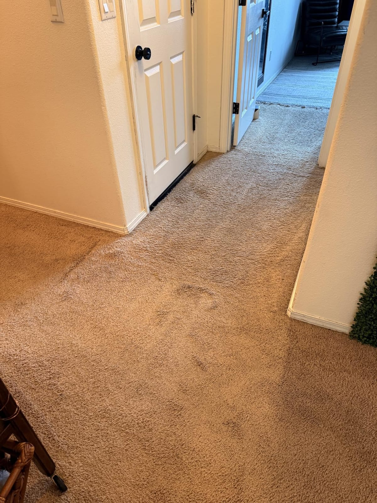 BISSELL Revolution HydroSteam Carpet Cleaner, 4123 | HydroSteam technology; 4-in. self-cleaning tough stain tool; formulas included; upright deep cleaner customer photo 2