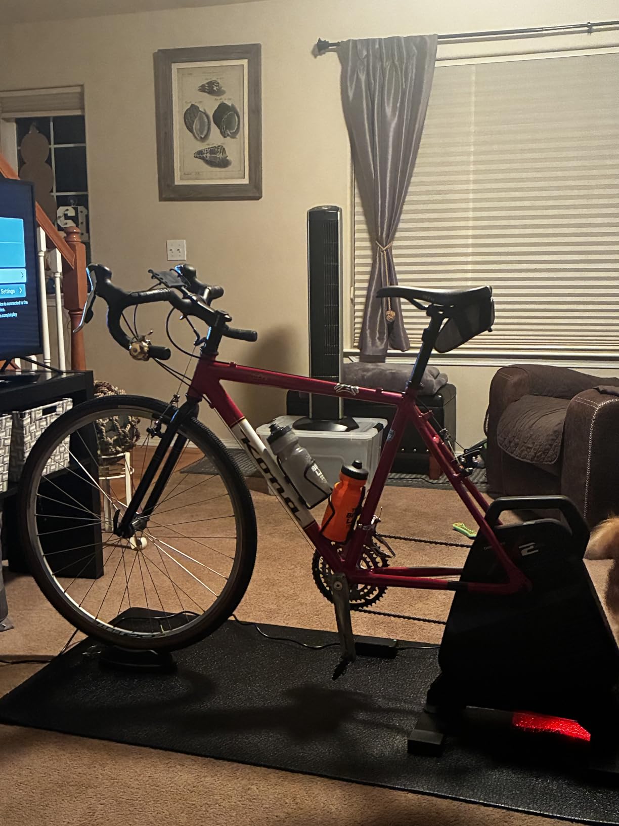 ThinkRider X2Max Smart Bike Trainer，2000w，Simulates 18% Slope，ANT + & BLE customer photo 2