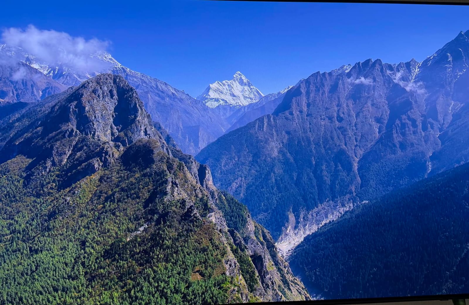 Samsung 42-Inch Class OLED S90F 4K Smart TV (2025 Model) NQ4 AI Gen3 Processor, Upscaling Pro HDR+, Motion Xcelerator 144Hz, Vision Alexa Built-in customer photo 2