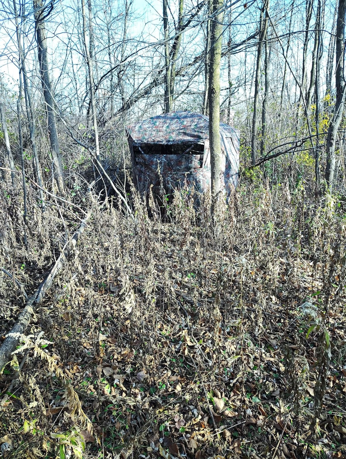 TLC Sport Hunting Blind, 270°/360° See Through Ground Blind for 2-4 Person customer photo 1