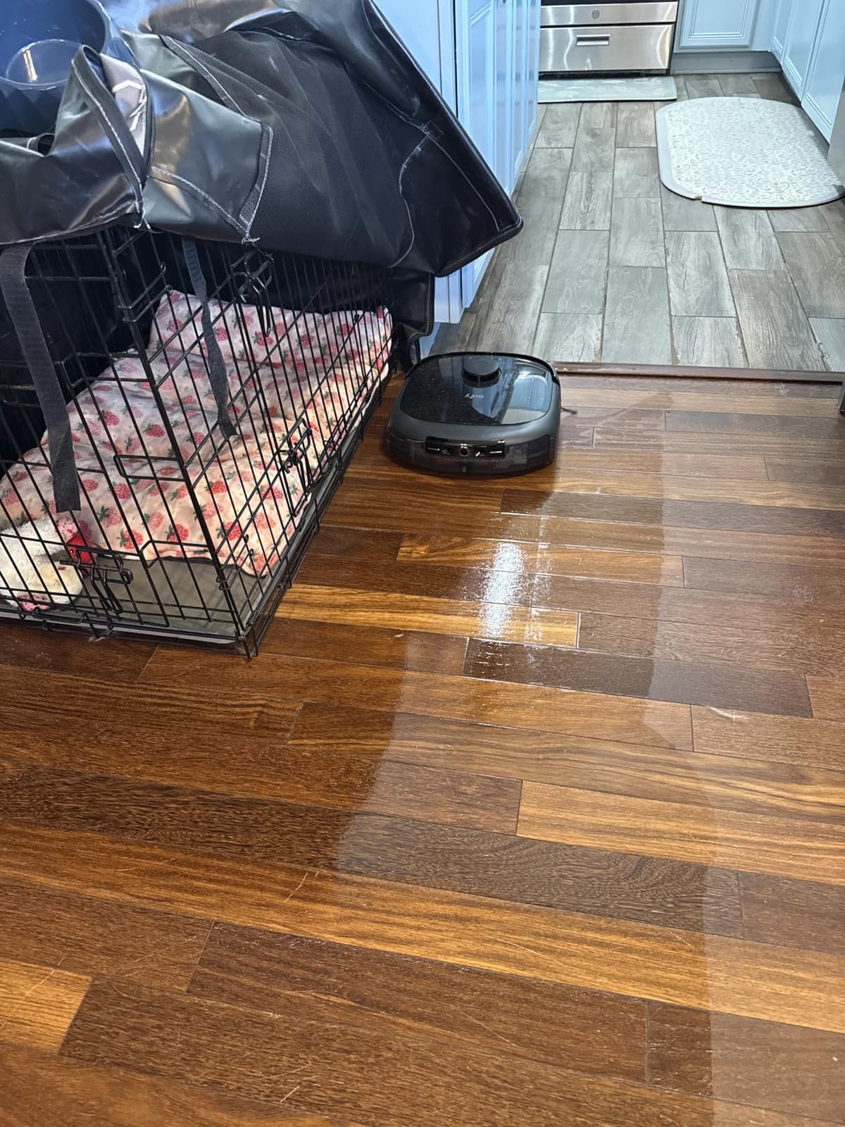 eufy E25 Robot Vacuum and Mop Combo, 20,000 Pa, HydroJet Roller Mop | Extendable Side Brush, Zero-Tangle Design, All-in-One Station, AI Obstacle Avoidance, Edge-to-Corner Cleaning customer photo 1
