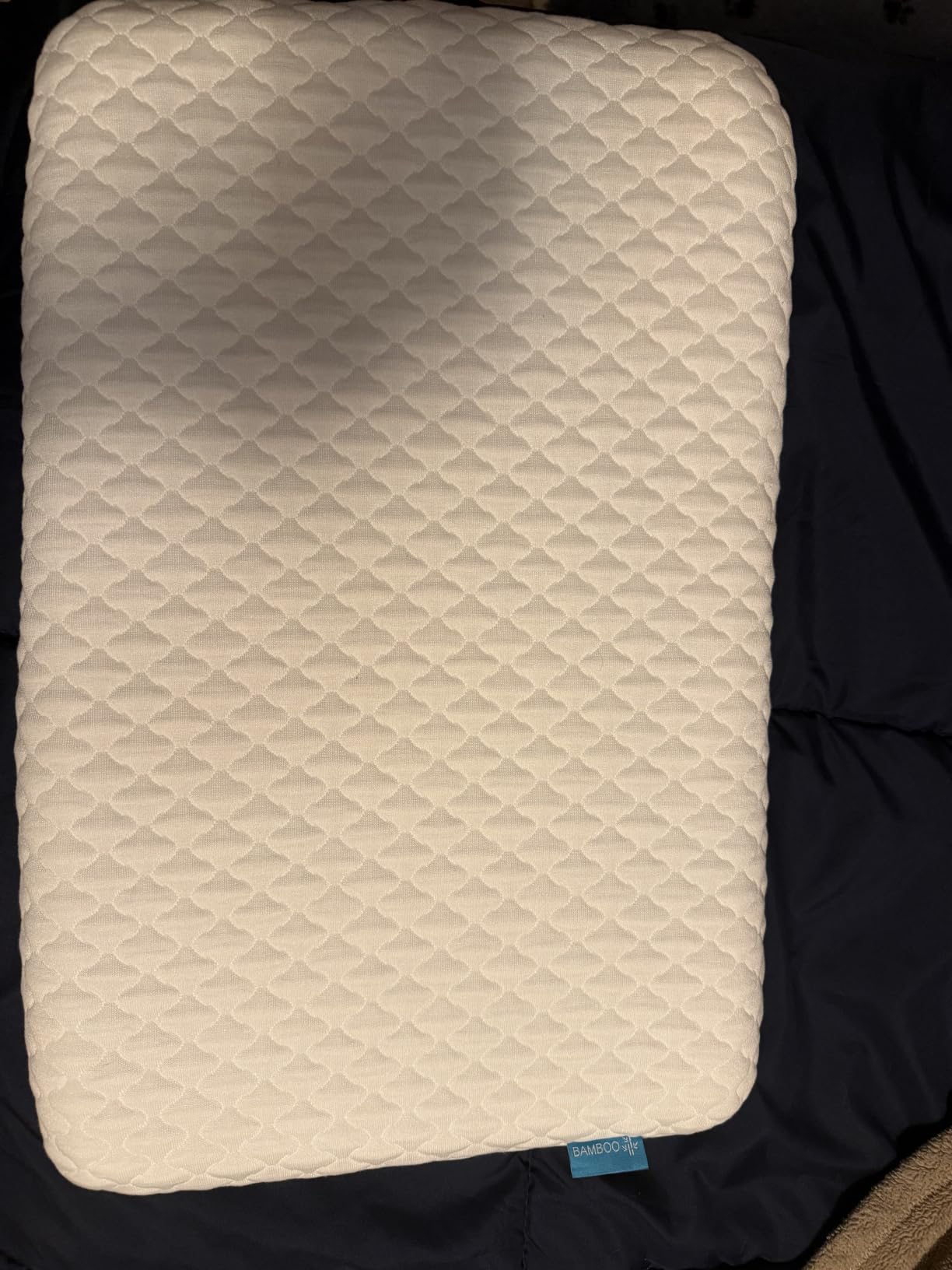 SofGlowly Thin Flat Pillow for Sleeping - 2.25