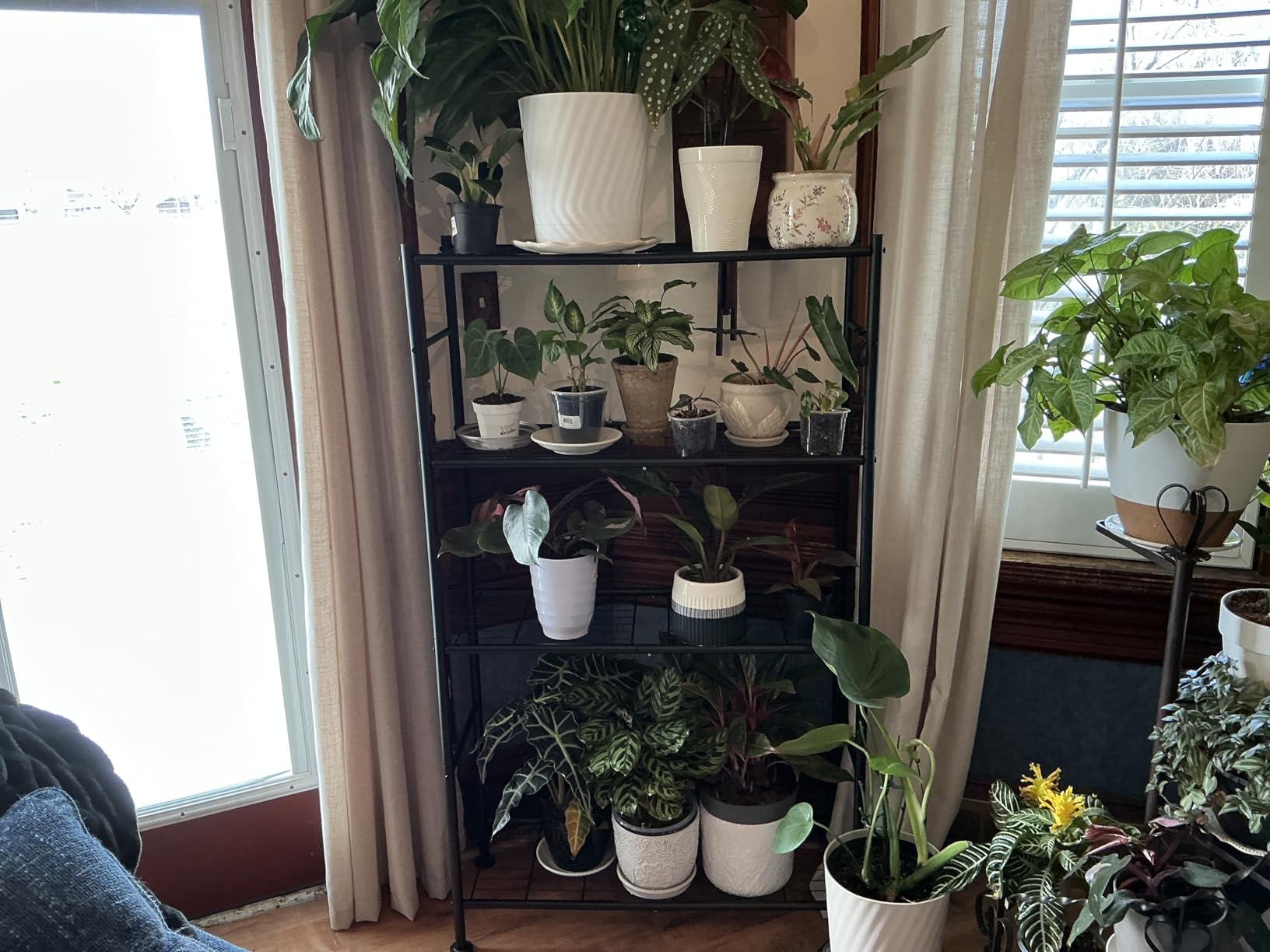 Sakugi 4-Tier Storage Shelves with 6 Hooks, 33.2