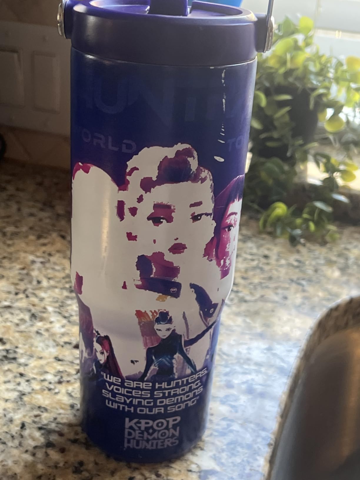KPop Demon Hunters 30oz Insulated Stainless Steel Tumbler with Straw and Handle customer photo 2