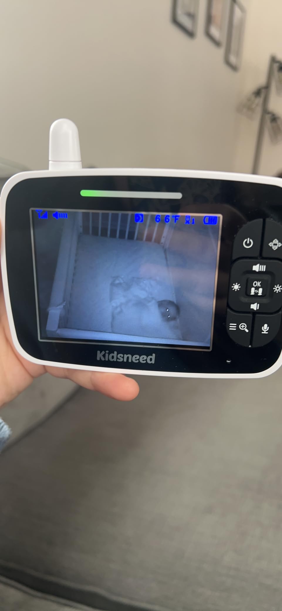 Kidsneed 5