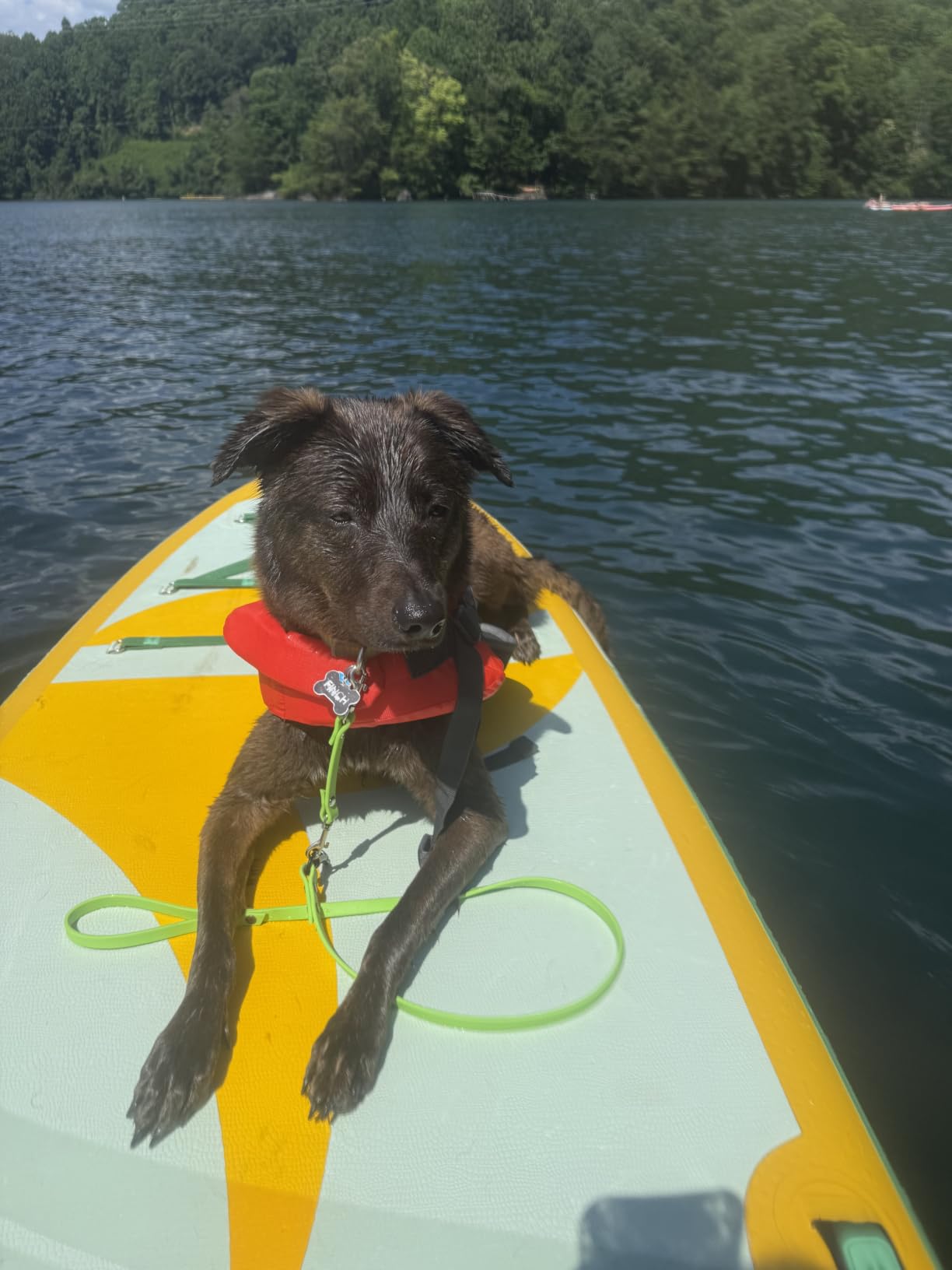 11'6/11’x35 Extra Wide Inflatable Paddle Board, 450/430lb Capacity Stand Up Paddle Board for Adults (x3), Stable Inflatable SUP, All Skill Levels, 3/5 Handles, 100L Backpack, 3PCS Paddle, 5L Dry Bag customer photo 2