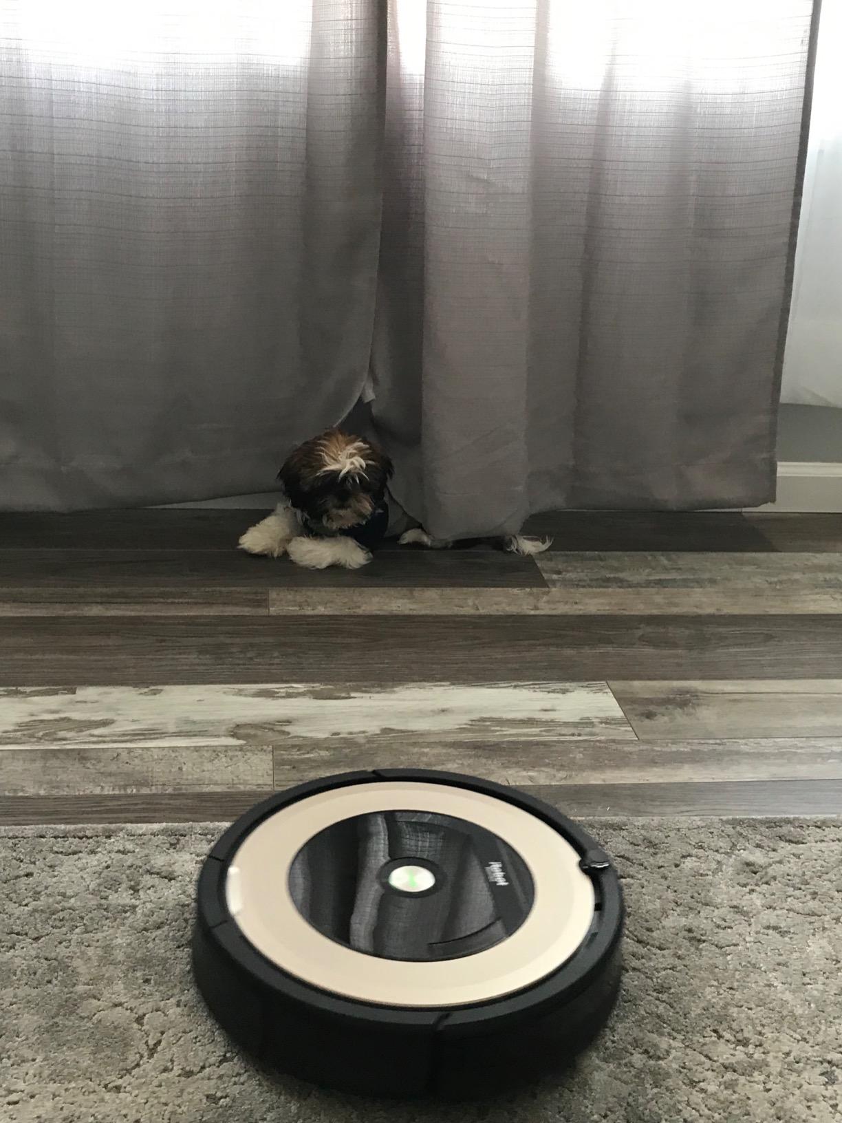 iRobot Roomba Plus 515 Robot Vacuum & Mop Combo, 22,000Pa Suction, 90 Days Self-Emptying, Multifunction Dock, Self‑Cleaning, Heated Wash & Heated Dry, Smart Obstacle Avoidance, Lifting Spinning Mops customer photo 2