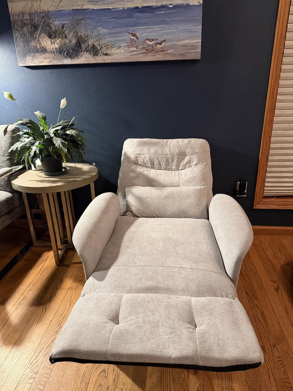 Power Recliner Chair with Heat & Massage, Electric Recliner for Elderly, Reclining Sofa with Remote Control, 3 Side Pockets, Easy Assembly Sleeper for Living Room Home Theater, Soft Fabric Light Grey customer photo 1