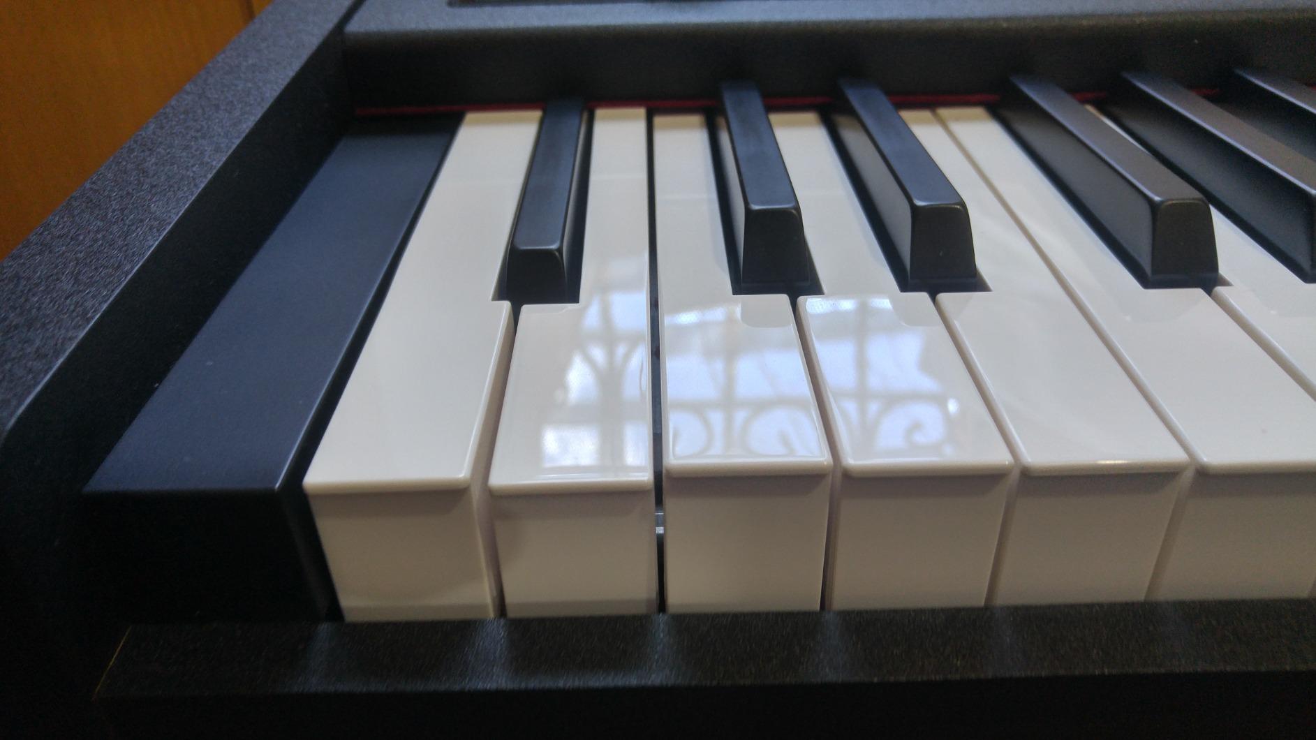 Korg D1 88-Key Stage Piano Controller customer photo 1