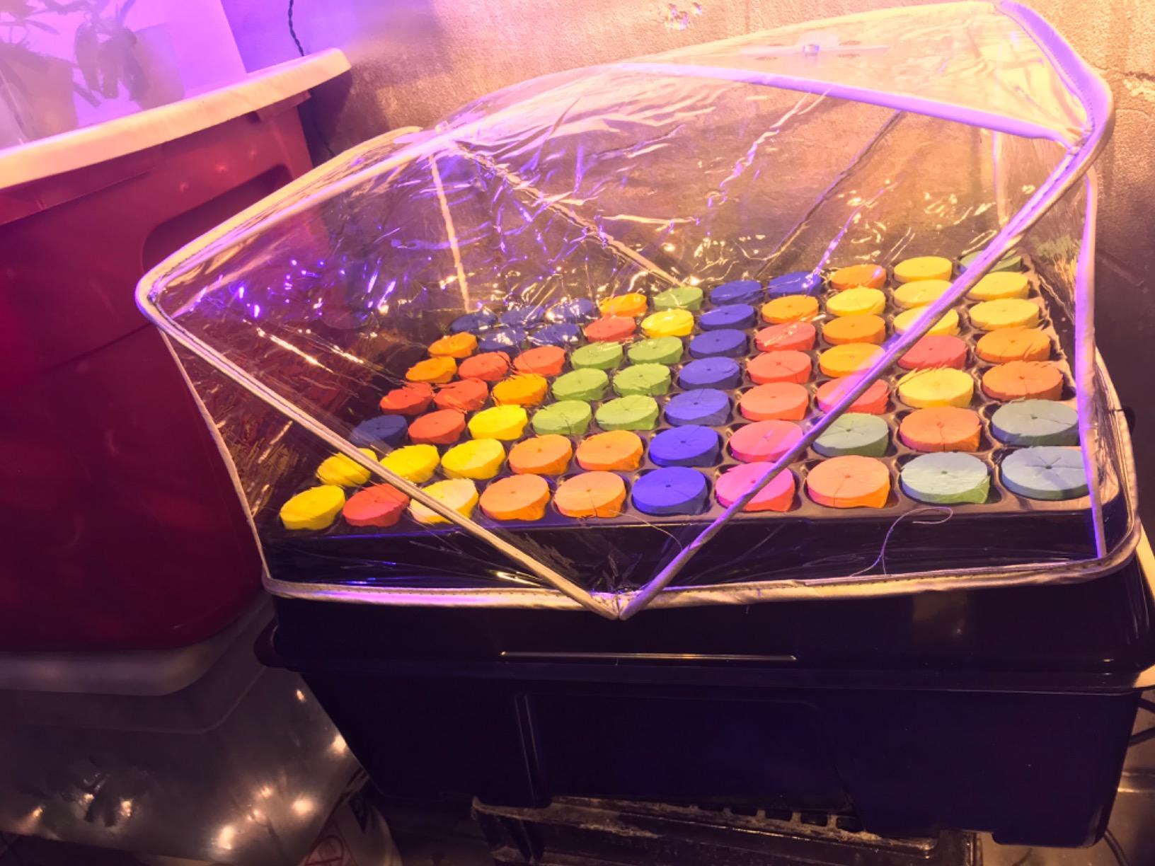 Psycloner Pro Clone Machine, Aeroponics System, Cloner for Plant Cuttings, Propagation + Bonus (35 Site) customer photo 1