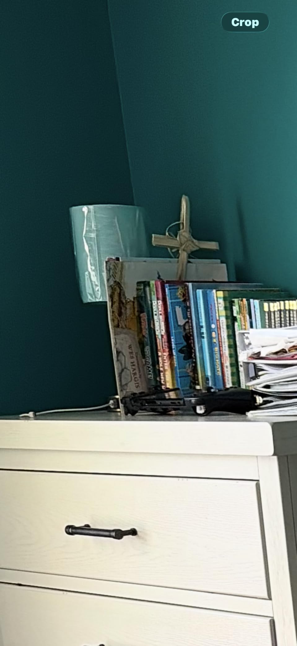 Dicoool Bedside Table Lamp for Bedroom - Small Desk Lamp with USB Ports customer photo 1