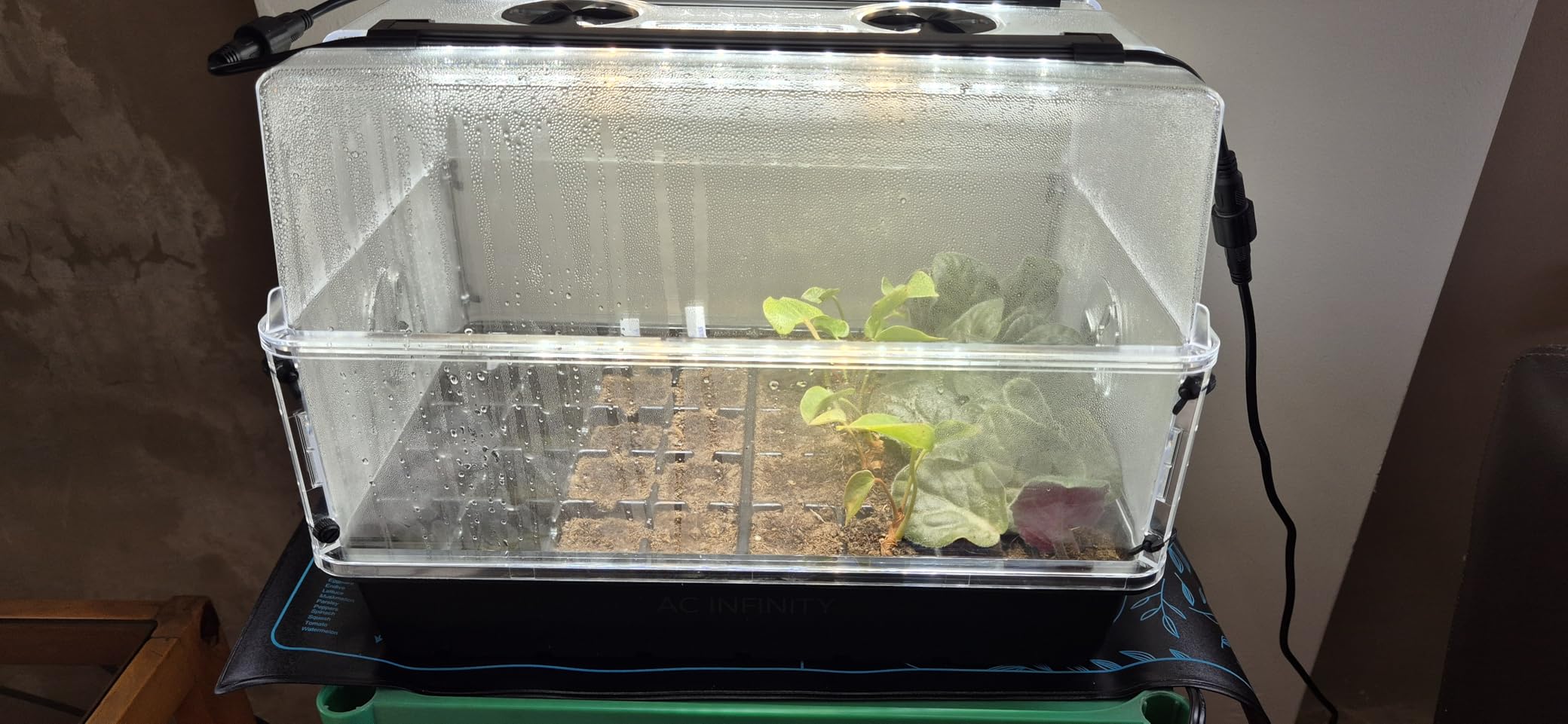 AC Infinity Humidity Dome Kit 5x8 w/ LED Grow Lights & Seedling Heat Mat customer photo 1